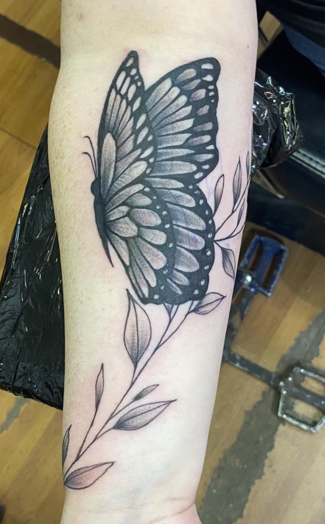 a black and white butterfly perched above a branch with small leaves